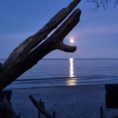 Traumhaftes Mit Terrasse - Odins Blick 11 - Ruhige Lage Mit Privatstrand, Sauna * Lobbe